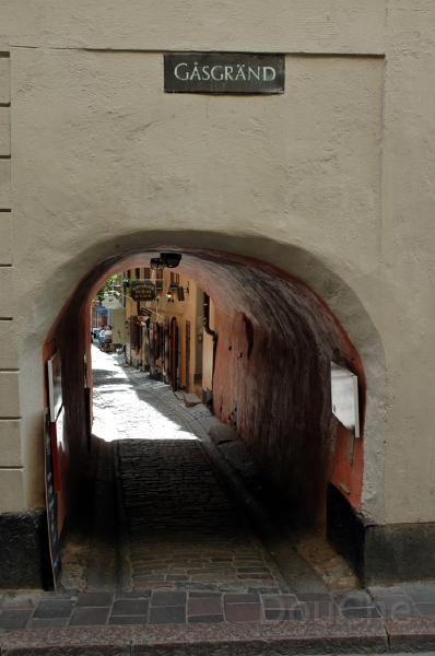DSC_0167 1_out.jpg